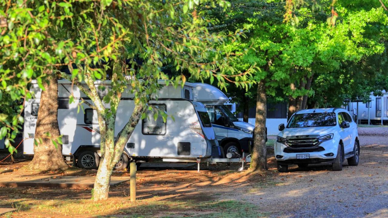 Big4 Porepunkah Holiday Park Bright Exterior foto