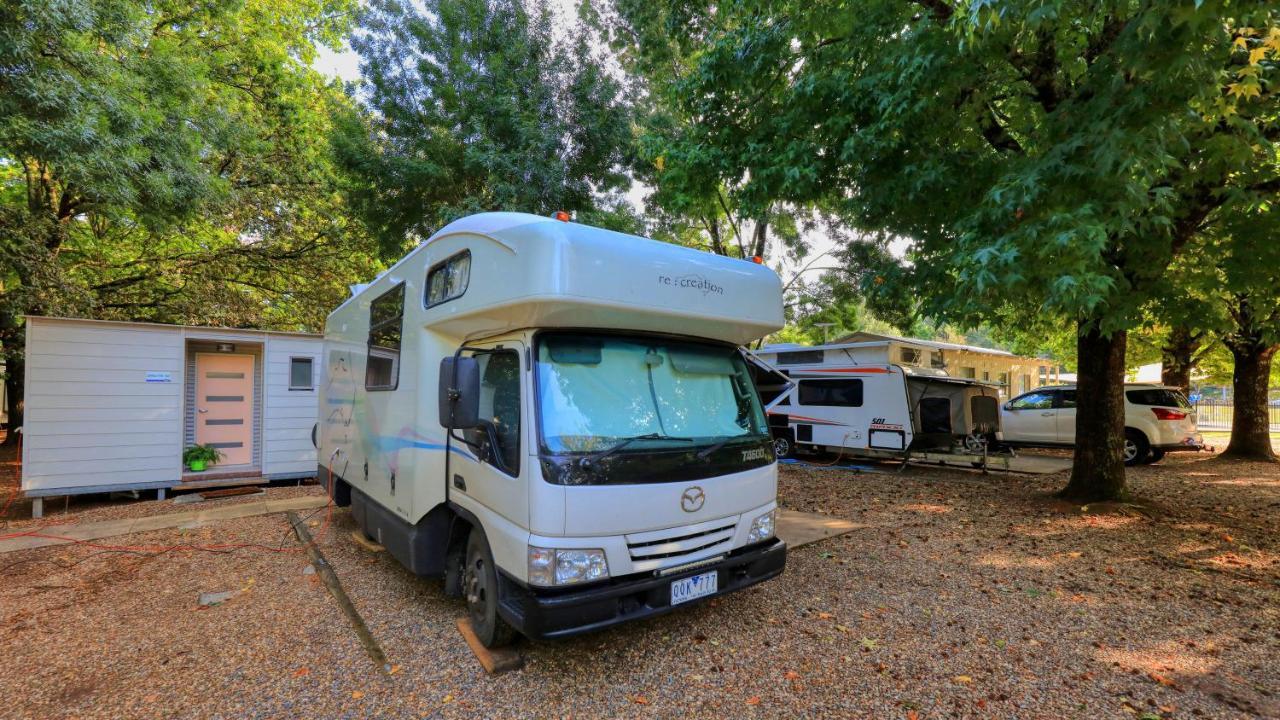 Big4 Porepunkah Holiday Park Bright Exterior foto